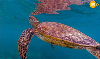 Výlety na pláže a pobřeží